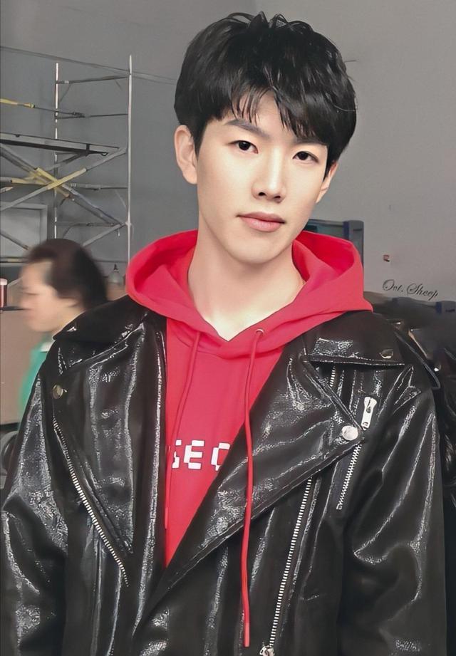 TheShy重返赛场，重要助攻首场状态出色，法国队观众沸腾！的简单介绍-爱游戏在线登录入口